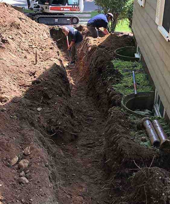 Don’t Let Your Garden Drown with These Drainage Tips