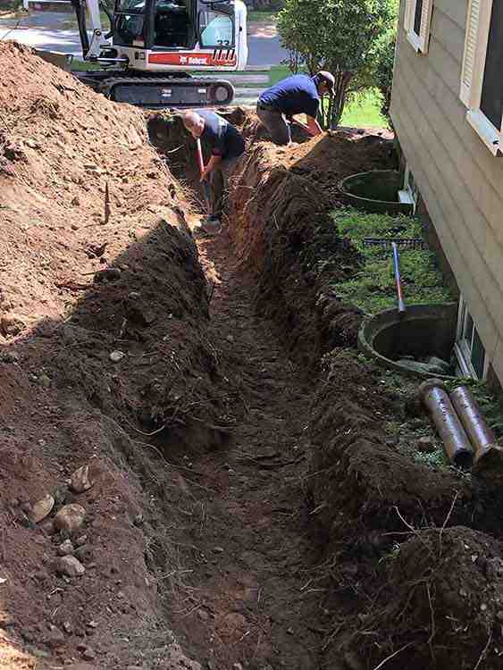 Don’t Let Your Garden Drown with These Drainage Tips